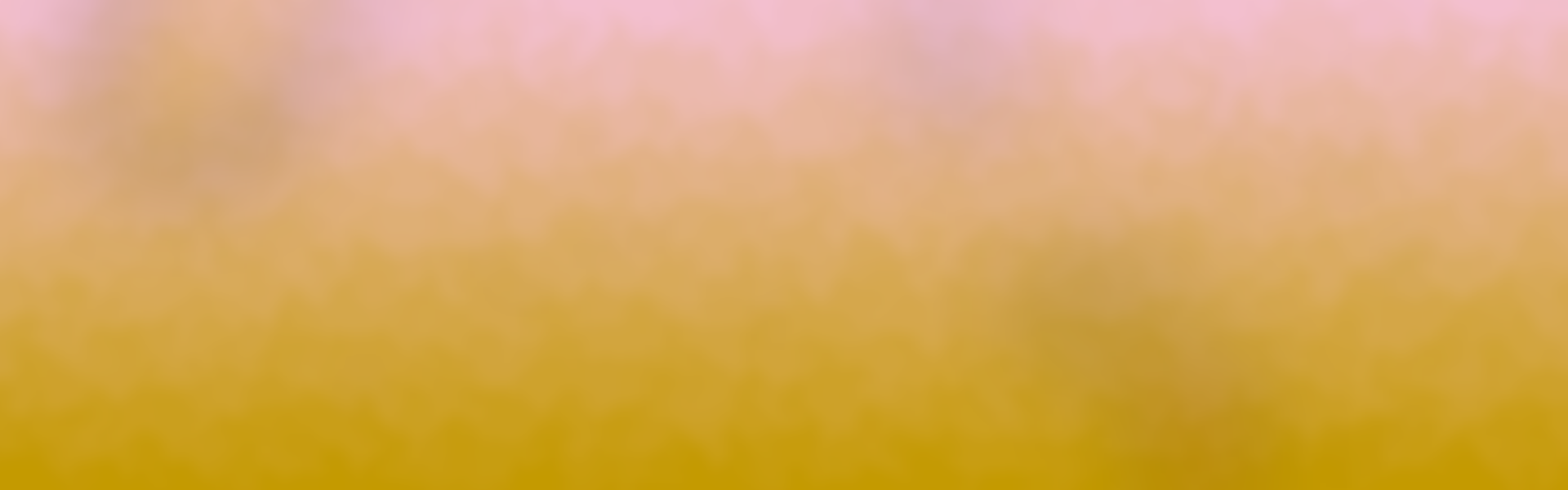 Rincón Mayorga Abogados Litigantes