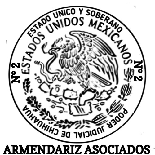 N-P ARMENDARIZ ASOCIADOS 