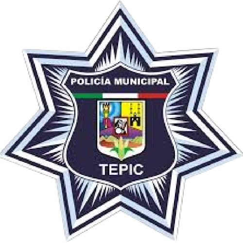 DIRECCION DE SEGURIDAD PUBLICA